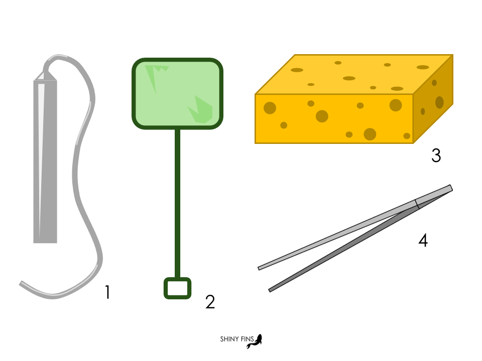 Putzmaterialien für die Aquaristik wie (1) Mulmabsauger, (2) Netz, (3) Schwamm und (4) Pinzette.