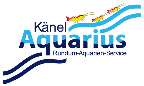 Aquarius Känel