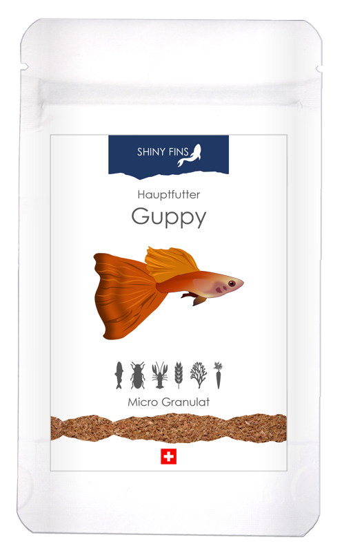 Hauptfutter - Guppy