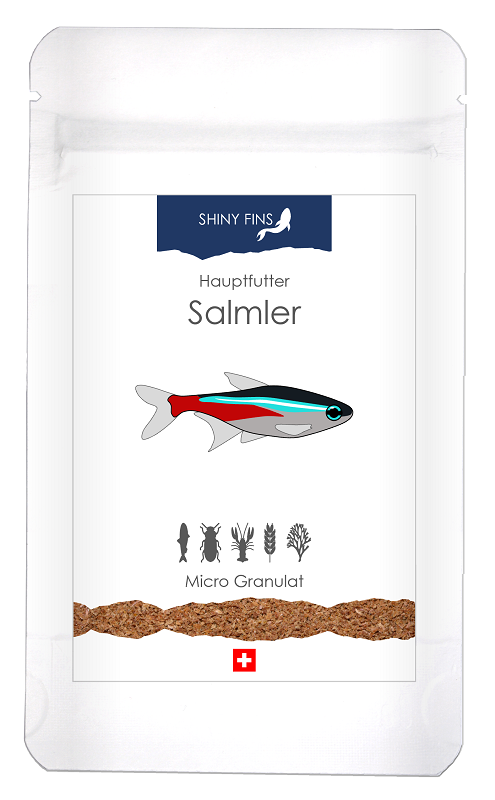 Hauptfutter - Salmler